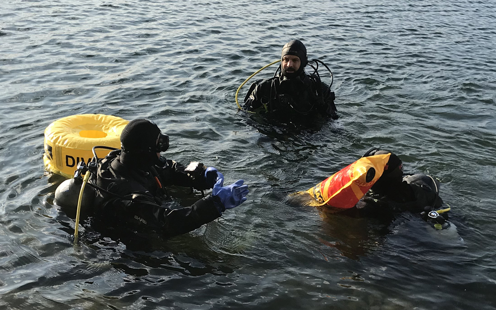dive-training